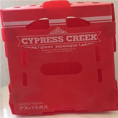 골판지 플라스틱 과일 상자