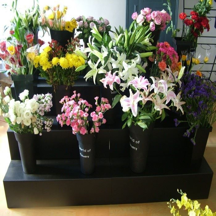 PP Corflute Flower Display Racks