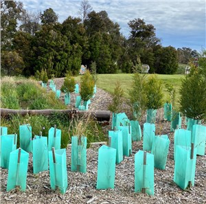 포도 나무 가드 심기 나무 보호